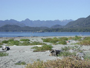 Landquest Coast and Islands Team - BC land for sale!